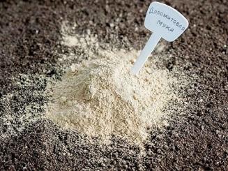 Dolomitkalk 1Kg 