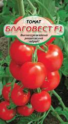 BLAGOVEST F1 Tomate 10st 