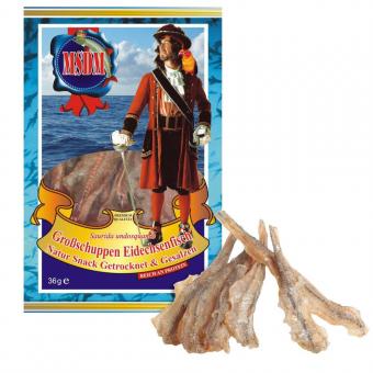 Großschuppen Eidechsenfisch - Original 36g 