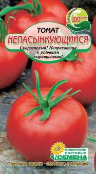 НЕПАСЫНКУЮЩИЙСЯ Tomate 20st 