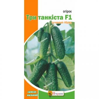 3 Tankista F1 Gurkensamen 0,3g 