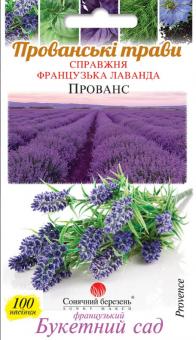 Französischer Lavendel PROVENCE 100 Samen 