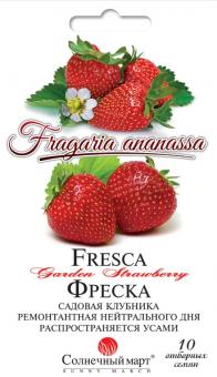 Gartenerdbeere FRESCO 10St 