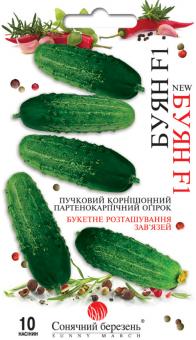 БУЯН F1 Gurkensamen 10st 