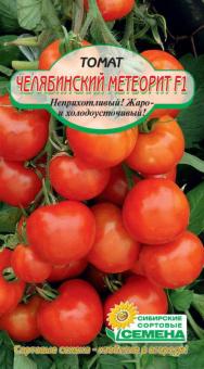CHELYABINSKIY METEORIT F1 Tomatensamen 20st 