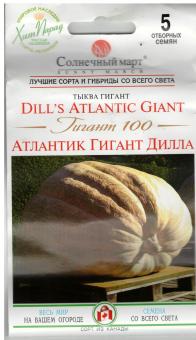 DILL´S ATLANTIC GIANT Giant 100 Kürbis 5 Samen 
