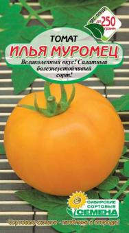 ILYA MUROMEZ Tomate 20st 