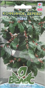 Kaffeebaum NANA 1 g 