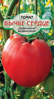 BULLEN HERZ Tomate 20st 