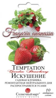 Gartenerdbeere TEMPTATION 10St 