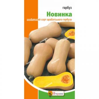 Тыква Новинка 2 г 