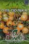 morepic-1